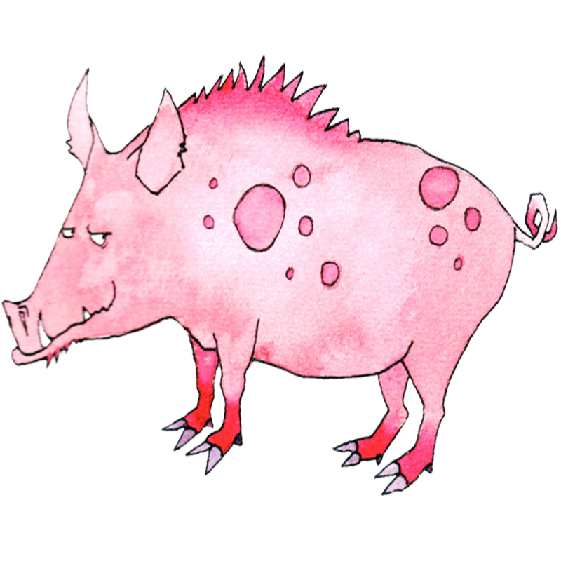 Kinesisk astrologi | Animal sign Pig