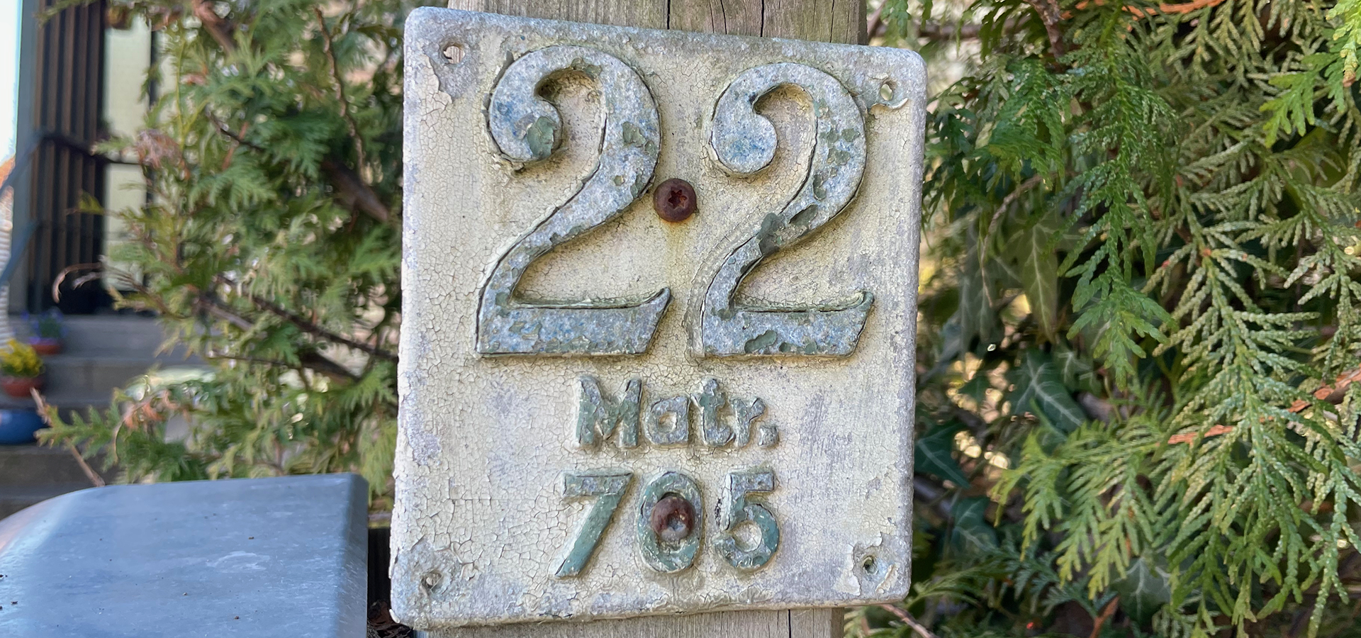 Numerologi | Tal 22